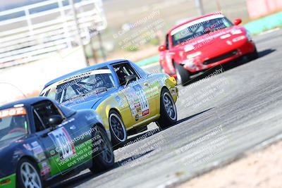 media/May-06-2023-Lucky Dog Racing (Sat) [[8f2256f436]]/Qualifying race/